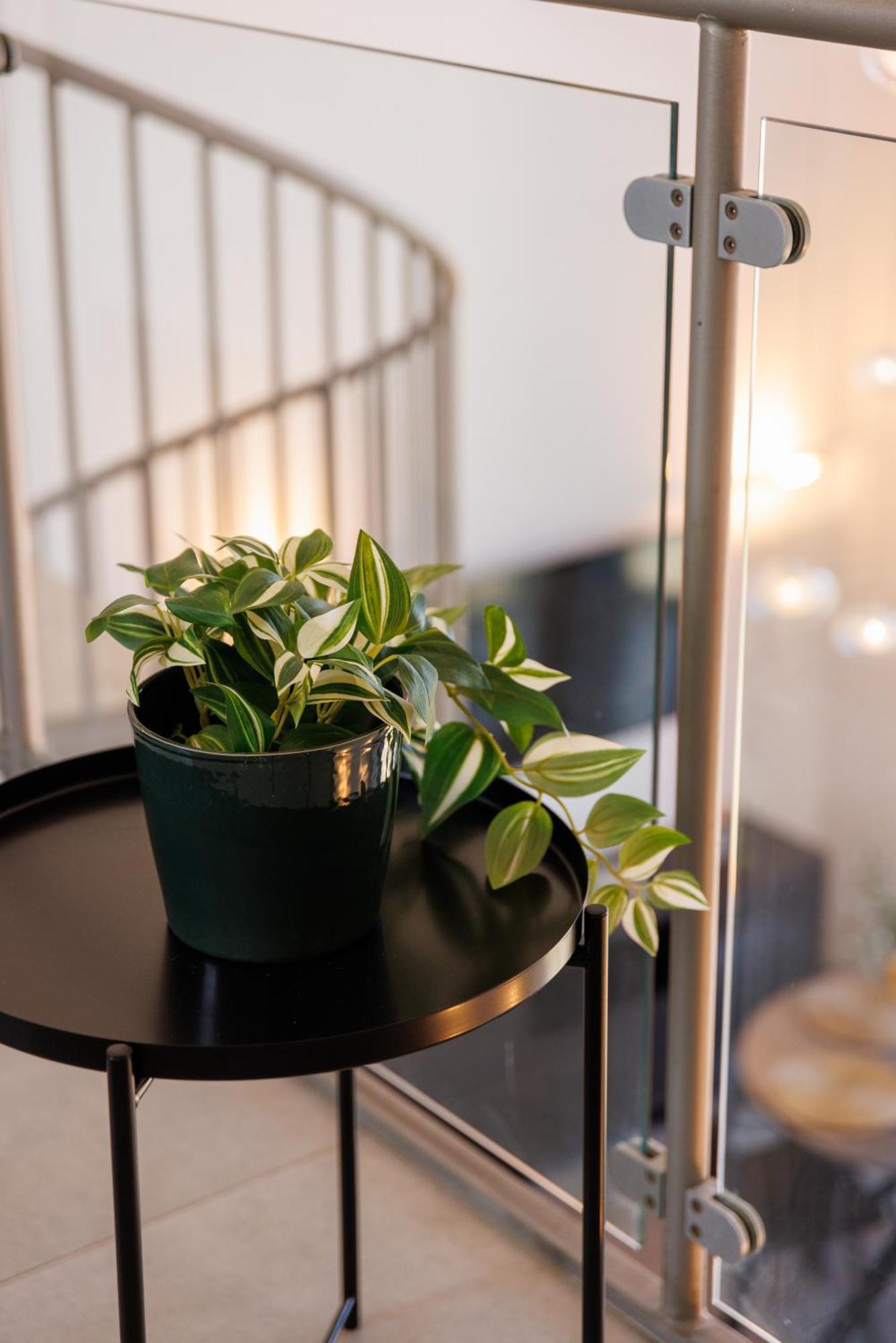Elifelet Boutique By Nimizz * Tel Aviv